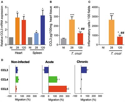 CCL3/Macrophage Inflammatory Protein-1α Is Dually Involved in Parasite Persistence and Induction of a TNF- and IFNγ-Enriched Inflammatory Milieu in Trypanosoma cruzi-Induced Chronic Cardiomyopathy